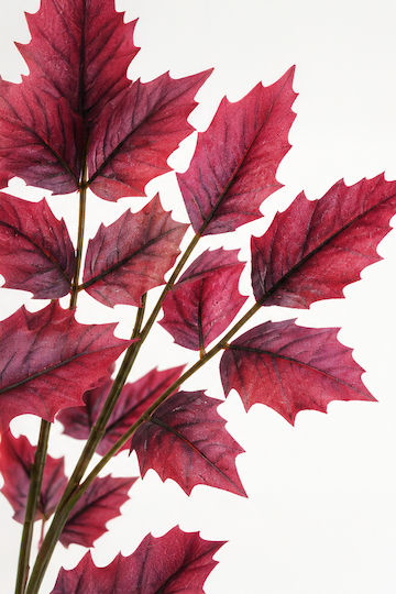 Mahonia Branch Purple Foliage 0x0x106cm Monochrome Evergreens