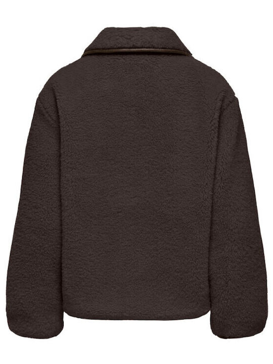 Teddy Women's Coat Chocolate Torte