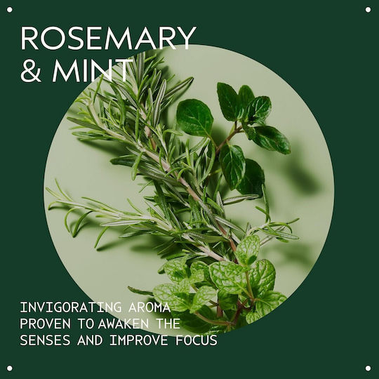 Aveda Rosemary Mint Shampoos Reconstruction/Nourishment & Hydration for All Hair Types 50ml