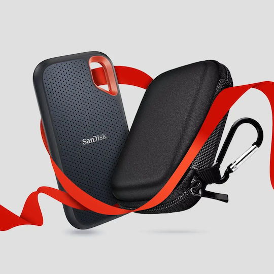 Sandisk Schutzhülle Grau
