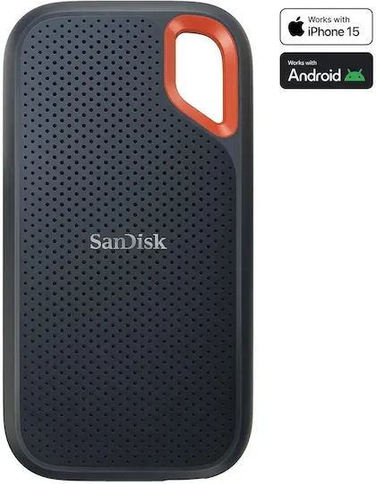 Sandisk Schutzhülle Grau