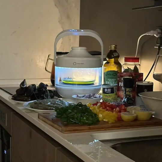 DesignNest Powercooker Aragaz multifuncțional 400W cu Memorie internă 3lt Alb