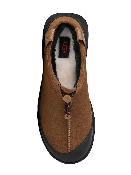 Tasman Men's Slippers Brown