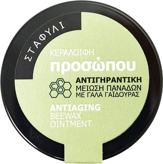 MeliMpampa Creme Gesicht 20ml