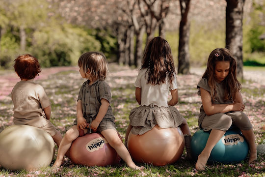 Find that Hippo Hüpfer Ball Für Über 6 Jahre Rosa