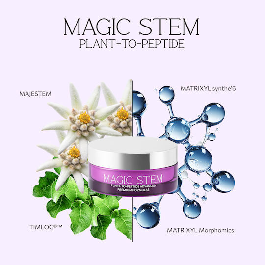 Aurora Natural Cream Face 70ml