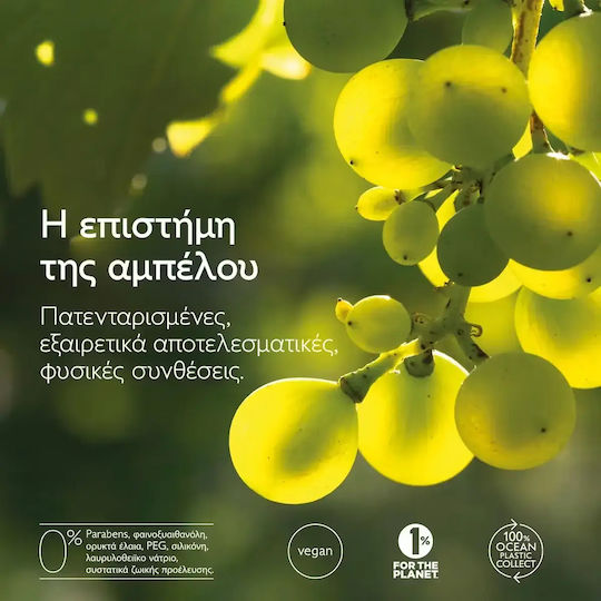 Caudalie Vinotherapist Feuchtigkeitsspendende & Wiederherstellende Hand- und Nagelcreme Für Rissige Hände 75ml