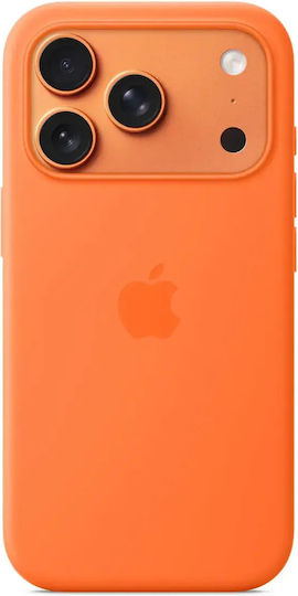 JT Berlin Back Cover Transparent (iPhone 16 Pro Max)