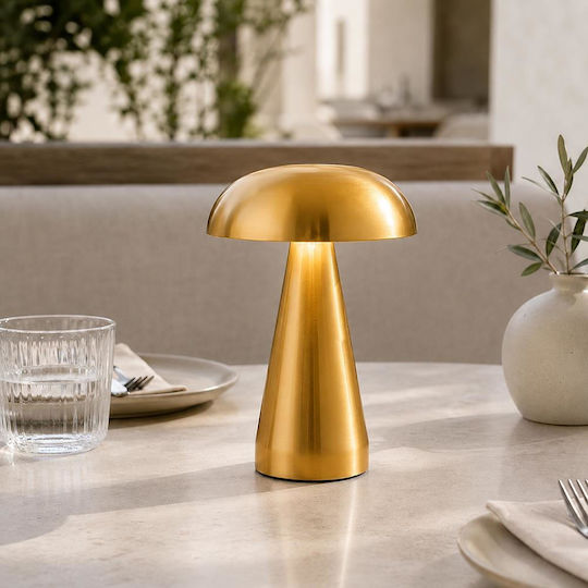 Next Metal Table Lamp with Gold Shade and Base