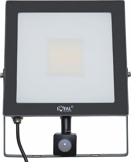 Loyal Lighting Водоустойчив LED Прожектор 50W Неутрално Бяло 4000K с Датчик за Движение IP65