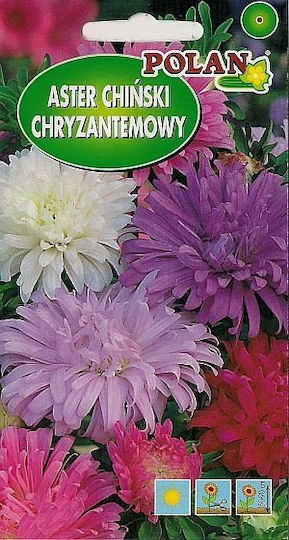 Platinet Семена Aster 1гр