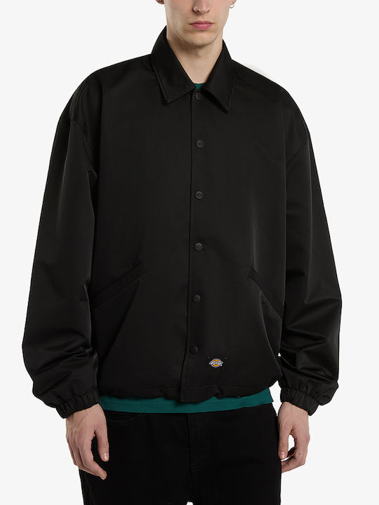 Dickies Dickies
