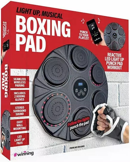 The Source Wall Mounted Target Pad