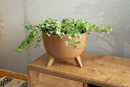 Lamela Roma Wooden Flower Pot Cream With Saucer 40x40x25cm