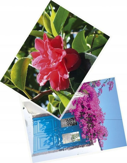 Argo Peach Laminierfolien Glänzend 80 Mikron 100 Stück