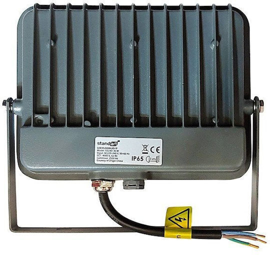 Standart Wasserdichter LED Flutlichter 30W Natürliches Weiß 4000K IP65