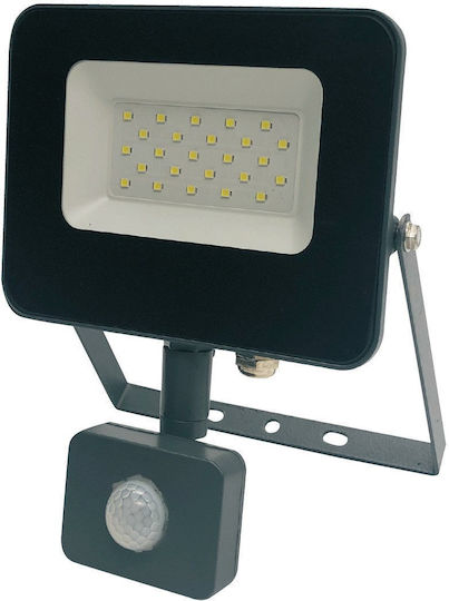 Standart Wasserdichter LED Flutlichter 20W Natürliches Weiß 4000K mit Bewegungssensor IP65