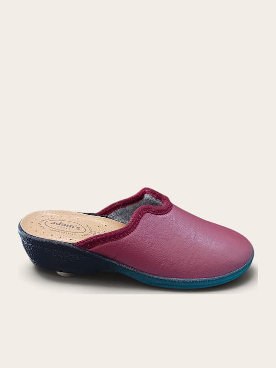Adam's Shoes