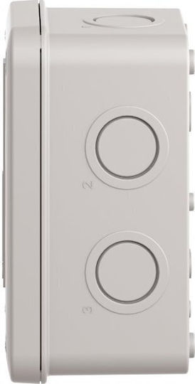 Schneider Electric Elettrocanali Anschlussdose Für Außenmontage IP54 In Grau