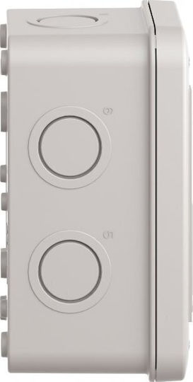 Schneider Electric Elettrocanali Anschlussdose Für Außenmontage IP54 In Grau