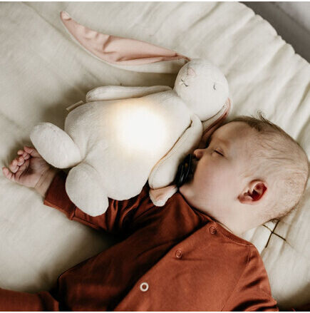 Moonie Animal with Cry Sensor