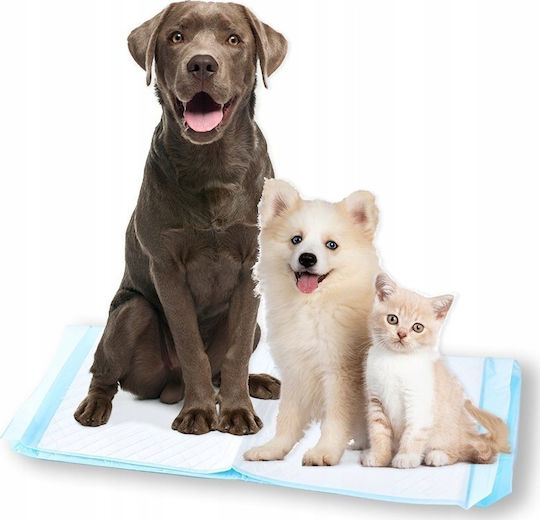 Bounn Bodenwindeln Hundewindeln 60x60cm 10 Stück