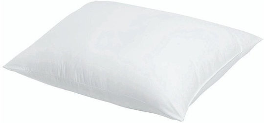 Economy Mikrofaser 50x70cm Economy Mikrofaser 50x70cm