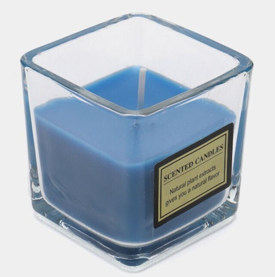 Lumânare Parfumată în Borcan cu Miros de Afine 170gr