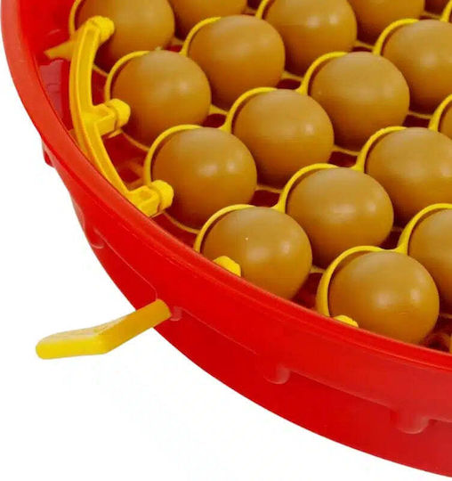 Incubator
