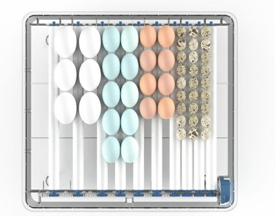 Automatic Egg Incubator 64 Eggs