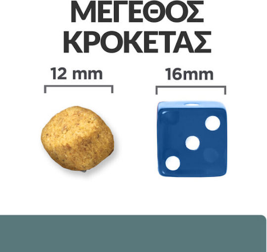 1.5kg Dry Diet Dog Food for Adult Dogs with Chicken and Meat