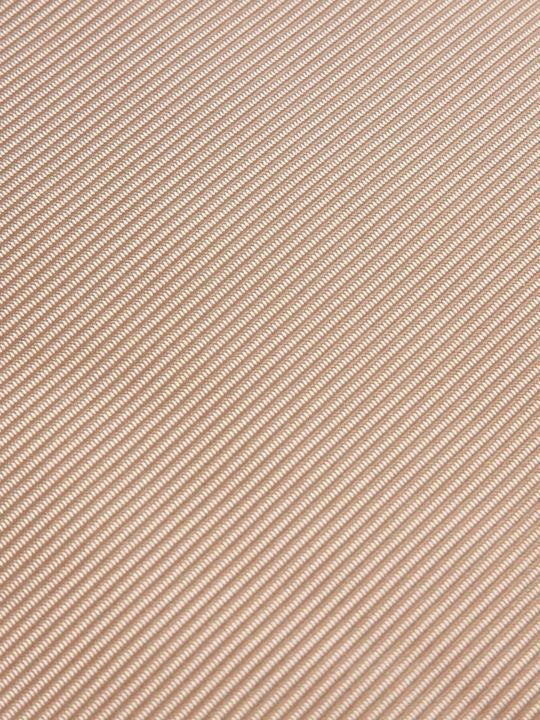 Delsey Backpack Laptop Bag in Beige Colour