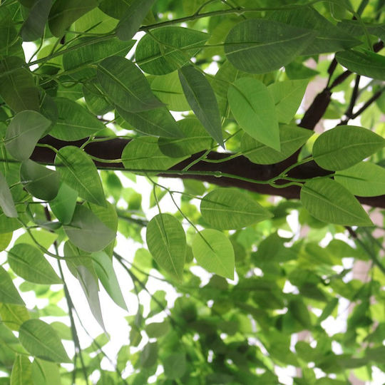 Ficus Artificial Smochin Indian 320cm Globostar 20186 Maro Verde