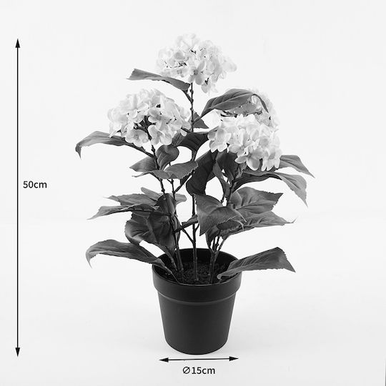 Dekorative Topfpflanze Hortensie Inart Weiß Φ35x50 Εκ