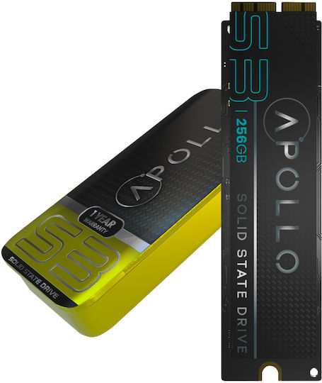 Apollo S3 SSD 256GB with PCI Express 3.0 Connection 107083002507
