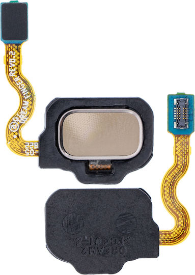 Fingerprint Reader Flex Cable Samsung Galaxy S8 S8 Plus Maple Gold