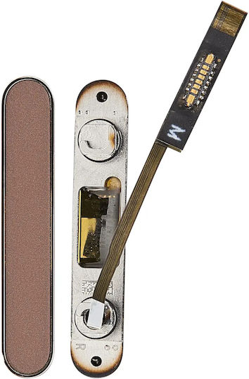 Camera Control Button Iphone 16 Pro 16 Pro Max Desert Titanium