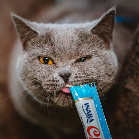 Churu Deliciu Cremos pentru Pisici Pui Brânză Vită 4 X 14 G