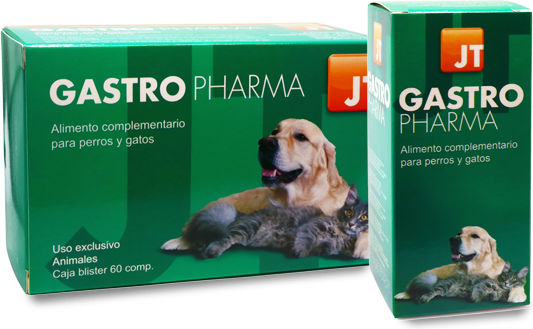 Animalear Multivitamine Pentru Câini și Pisici Sub Formă de Pulbere 55 ml pentru Tulburări Gastrointestinale