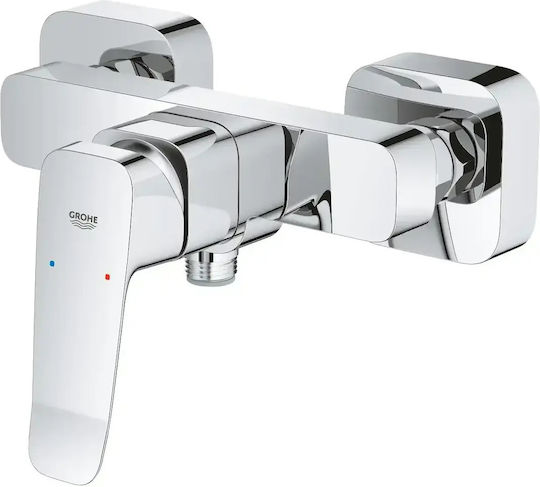 Grohe για Ντουζιέρα Ασημί