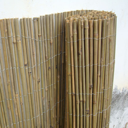 Ecoshadow Gard de Bambus Bambus cu Lemn Întreg 1x3m