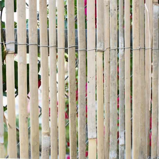 Ecoshadow Bamboo Fencing with Half Reed Bamboo 1.5x3m