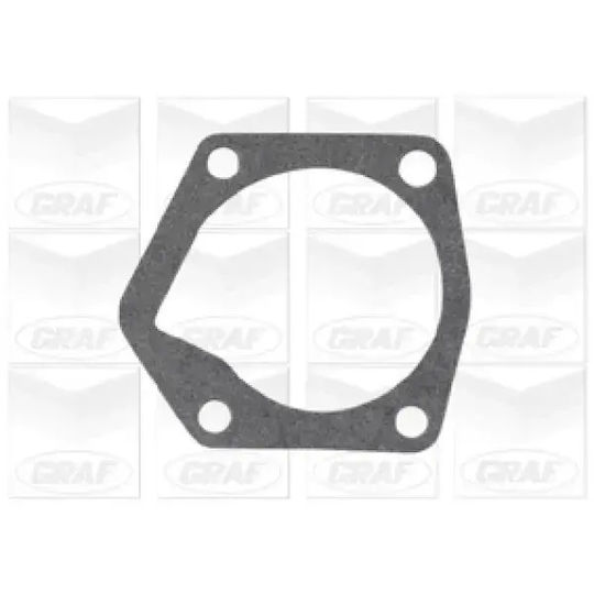 Graf Auto-Wasserpumpe Skoda Fabia I 6Y2 6Y3 6Y5 99-03 Pa10059 Bugatti 047121013P 047121013R 047121013M Pa805-10521