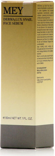 Derma Lux Snail Feuchtigkeitsspendend & Anti-Aging Serum Gesicht mit Schneckensekret & Hyaluronsäure für Entgiftung 30ml