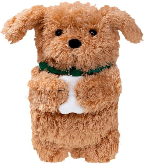Laut MagSafe Suport Carduri Magmoji Ginger Dog