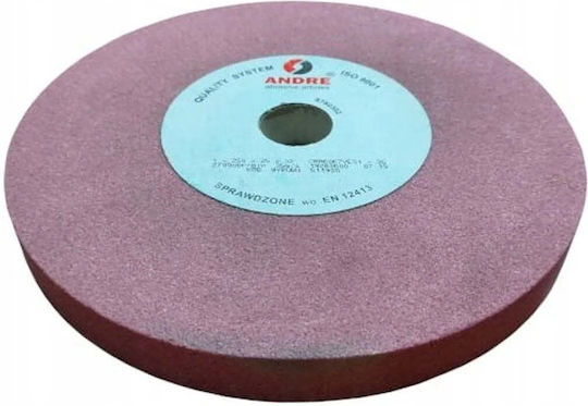 ANDRE abrasive articles Schleifscheibe 250mm