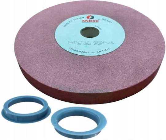 ANDRE abrasive articles Schleifscheibe 250mm