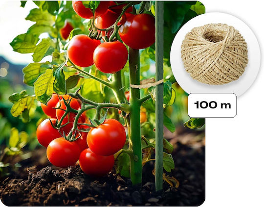 Gartentunnel 2,5 x 4 m 10 m² Plonos