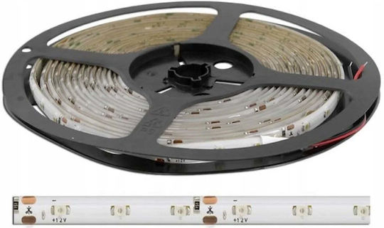 Eco Light Αδιάβροχη Ταινία LED Πράσινο Φως 5m Τύπου SMD3528