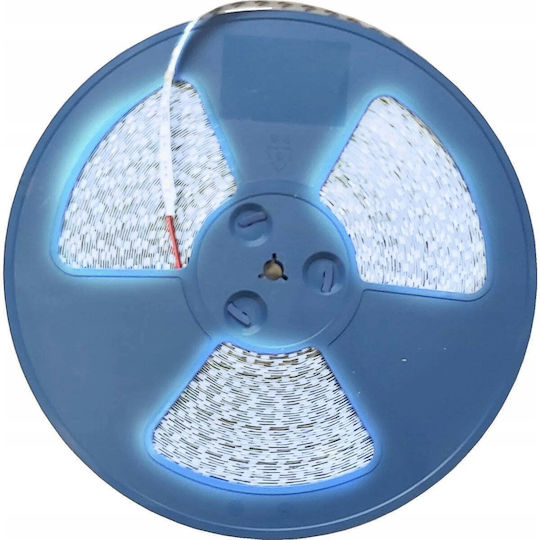Eco Light LED Лента 12V Студено Бяла Светлина 50м Тип SMD2835